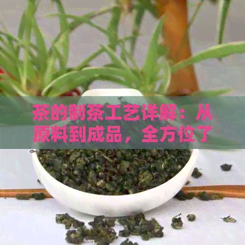 茶的制茶工藝詳解：從原料到成品，全方位了解茶葉制作過程