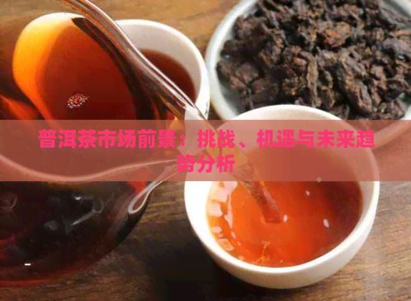 普洱茶市场前景：挑战、机遇与未来趋势分析