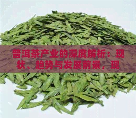 普洱茶產(chǎn)業(yè)的深度解析：現(xiàn)狀、趨勢(shì)與發(fā)展前景，現(xiàn)在好做嗎？