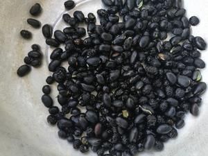 炒黑豆的做法 步驟1