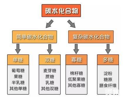 什么是碳水化合物？碳水化合物可以吃吗？