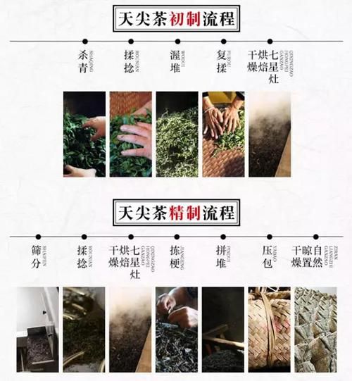 益阳黑茶：历史沿革、制作工艺及功效特点详解