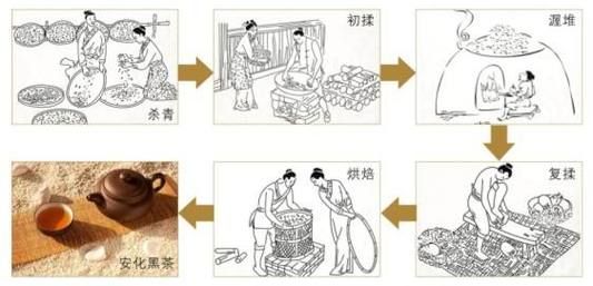 益阳黑茶：历史沿革、制作工艺及功效特点详解