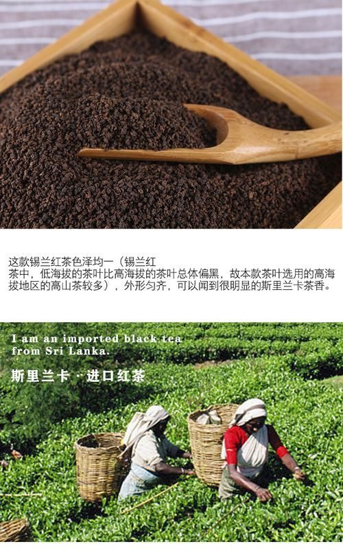 探索錫蘭紅茶：產(chǎn)地、制作方法和品嘗技巧