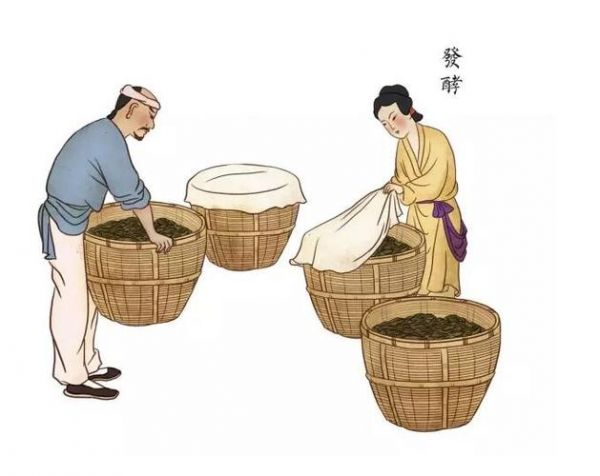 祁門(mén)紅茶精制工藝探秘：制作步驟、發(fā)酵過(guò)程、獨(dú)特之處