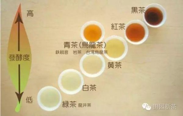 绿茶、红茶、白茶如何区分？分辨方法大揭秘