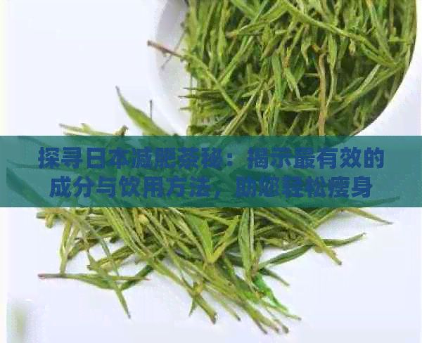 探尋減肥茶秘：揭示最有效的成分與飲用方法，助您輕松瘦身