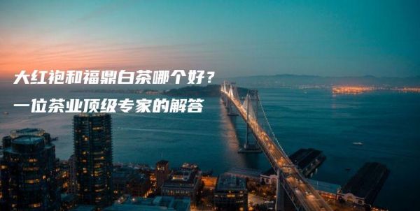 大紅袍和福鼎白茶哪個(gè)好？一位茶業(yè)頂級(jí)專家的解答插圖