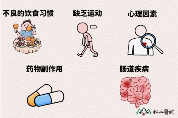 便秘的因素。重慶松山醫(yī)院供圖
