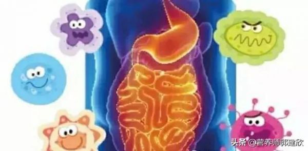 健康，先保證腸道健康，然后需要腸道內(nèi)的菌群平衡