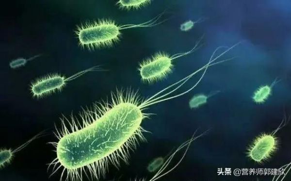 健康，先保證腸道健康，然后需要腸道內(nèi)的菌群平衡