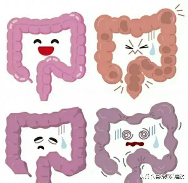健康，先保證腸道健康，然后需要腸道內(nèi)的菌群平衡
