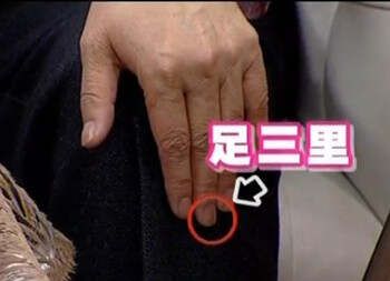 【視頻講座】自助穴位按摩 足三里 - 冬韻如歌 - 冬韻如歌