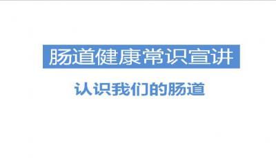 腸道健康知識(shí)PPT