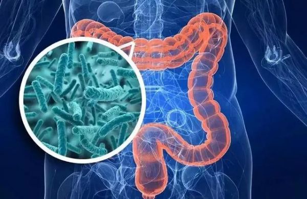 你不知道的7個(gè)腸道健康知識(shí)！