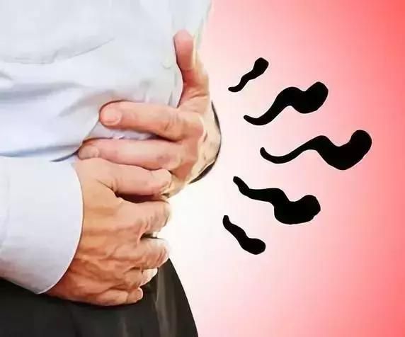 你不知道的7個(gè)腸道健康知識(shí)！