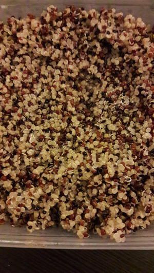 健康藜麥布朗尼(無麩質(zhì)Gluten Free)的做法 步驟1