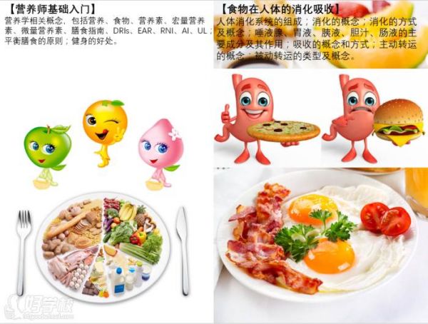 培訓(xùn)內(nèi)容
