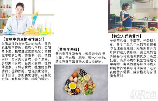 教學(xué)內(nèi)容