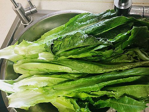 炒青菜熱量高嗎