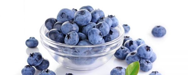 糖尿病人可以吃蓝莓吗 控糖饮食中蓝莓竟能带来这6大好处