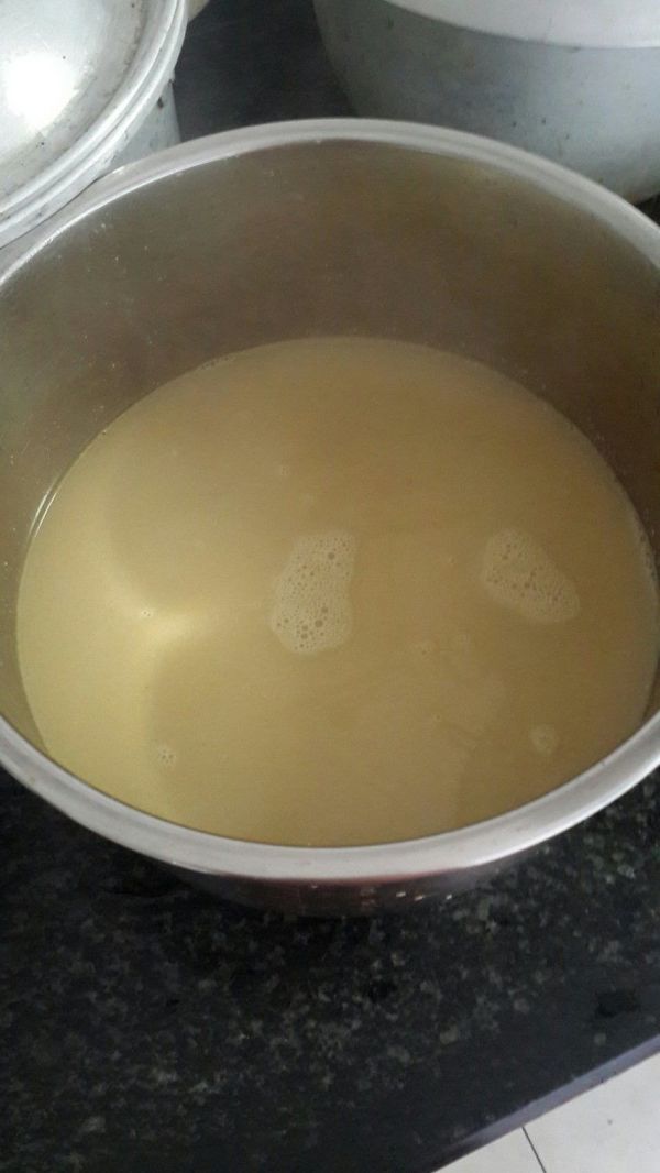 桂林油茶
