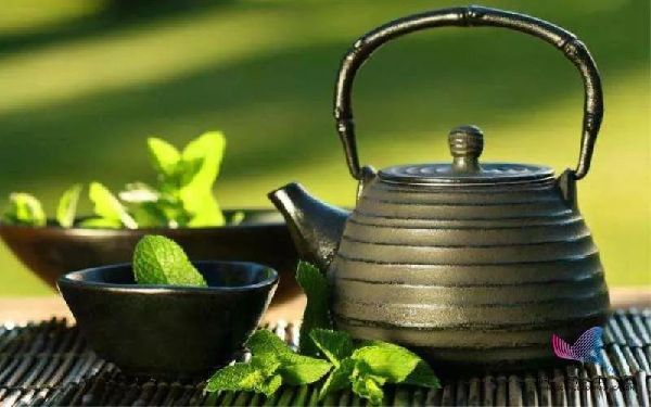 喝茶真的能刮油減肥嗎？