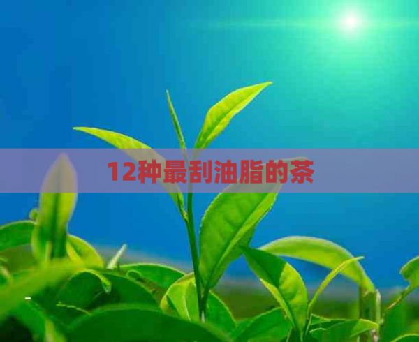12種最刮油脂的茶