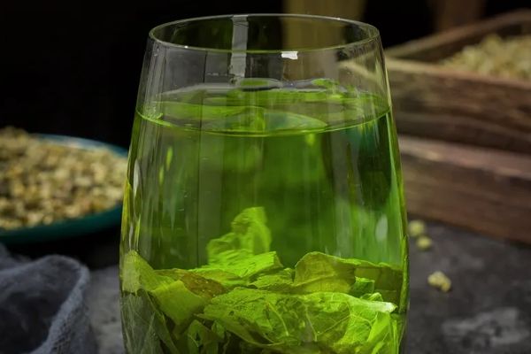 刮油脂最快的茶，绿茶/荷叶茶/乌龙茶/普洱茶