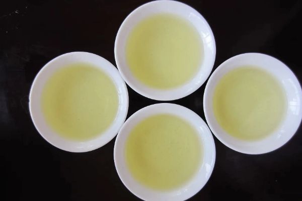 刮油脂最快的茶，绿茶/荷叶茶/乌龙茶/普洱茶