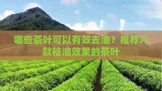 哪些茶葉可以有效去油？推薦幾款祛油效果的茶葉