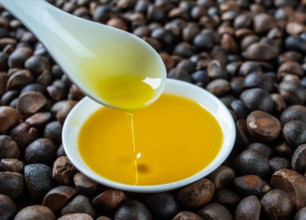 茶油.jpg