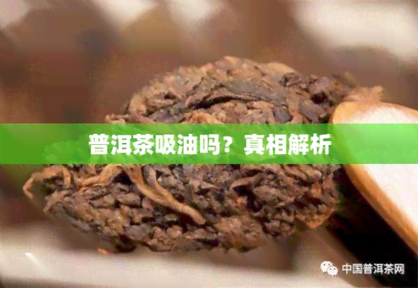 普洱茶吸油吗？真相解析