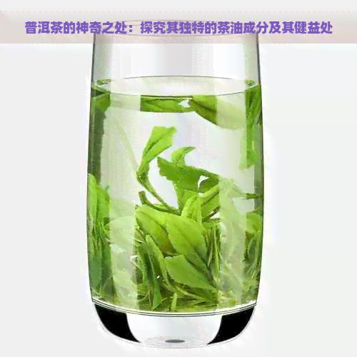 普洱茶的神奇之處：探究其獨(dú)特的茶油成分及其健益處