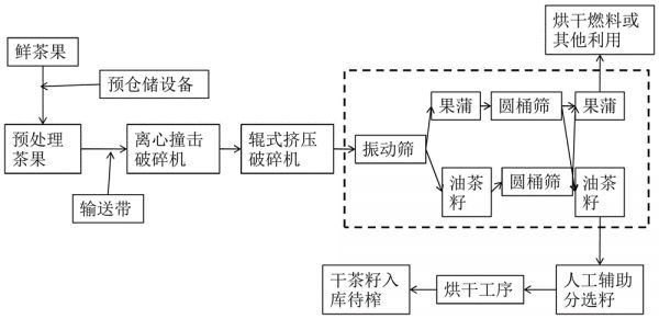 一种油茶鲜果规模化预处理工艺及系统的制作方法