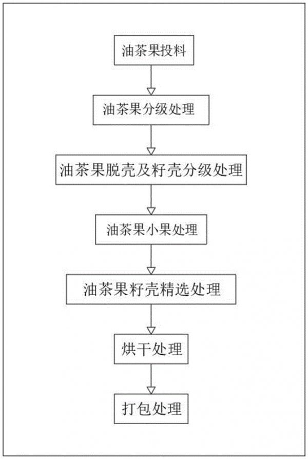 一种高效油茶果脱壳清选工艺的制作方法