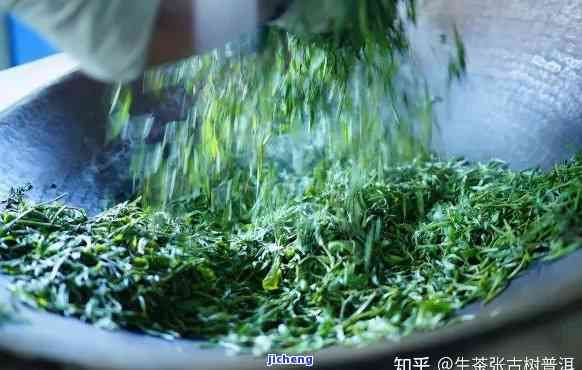 普洱茶膏压榨工艺，揭秘普洱茶膏压榨工艺：传统与现代的完美结合