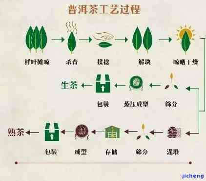 普洱茶膏压榨工艺，揭秘普洱茶膏压榨工艺：传统与现代的完美结合