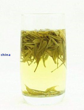 去油脂減肥喝什么茶？精選有效茶飲推薦！