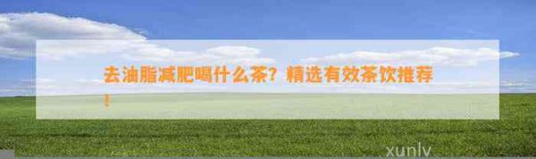 去油脂減肥喝什么茶？精選有效茶飲推薦！