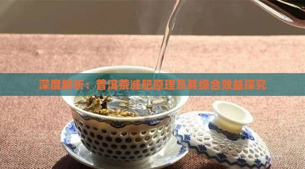 深度解析：普洱茶减肥原理及其综合效益探究