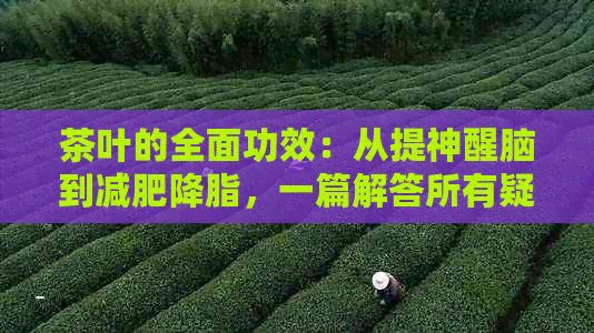 茶叶的全面功效：从提神醒脑到减肥降脂，一篇解答所有疑问