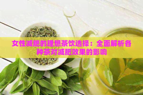 女性減肥的理想茶飲選擇：全面解析各種茶對減肥效果的影響