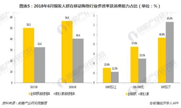 圖表5：2018年6月銀發(fā)人群在移動(dòng)購(gòu)物行業(yè)參透率及消費(fèi)能力占比（單位：%）