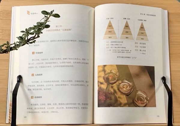 大益茶道院品茗观心
