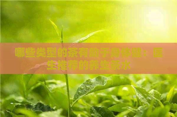 哪些類型的茶有助于身體?。横t(yī)生推薦的養(yǎng)生茶水