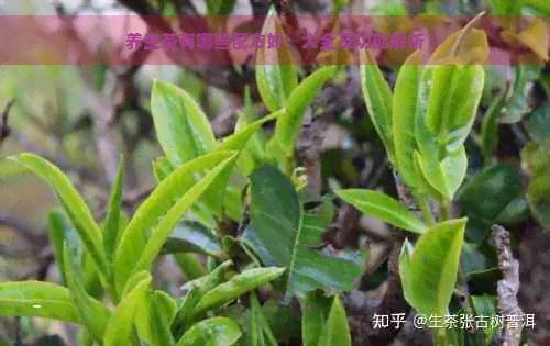 养生茶有哪些配方好：大全及功能解析