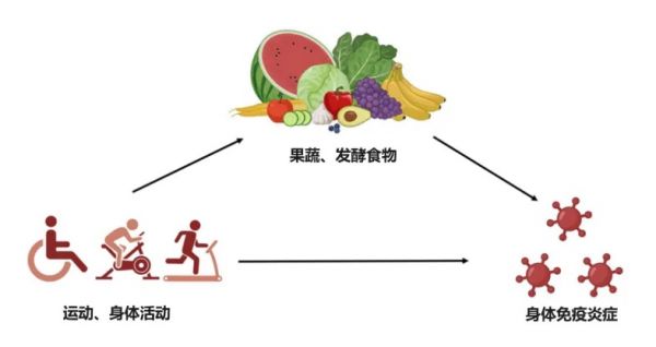 抗衰老最佳生活方式來(lái)了！研究發(fā)現(xiàn)：做好這3件事，抗衰又延壽