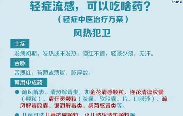 如何飲茶才是健合理：全面解析正確飲茶方式與原則