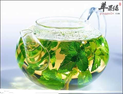 薄荷.jpg